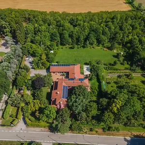 Settecentoalberi Noventa di Piave